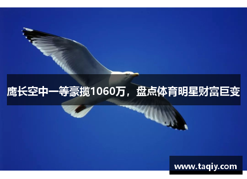 鹰长空中一等豪揽1060万，盘点体育明星财富巨变