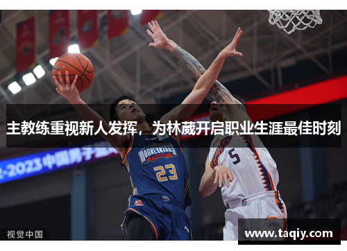 主教练重视新人发挥，为林葳开启职业生涯最佳时刻